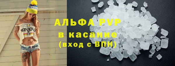 гашик Алексин