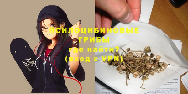 PSILOCYBIN Алексеевка