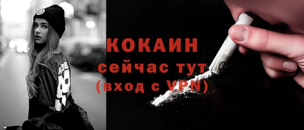 прущий лед Алзамай