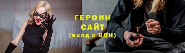 гашик Алексин