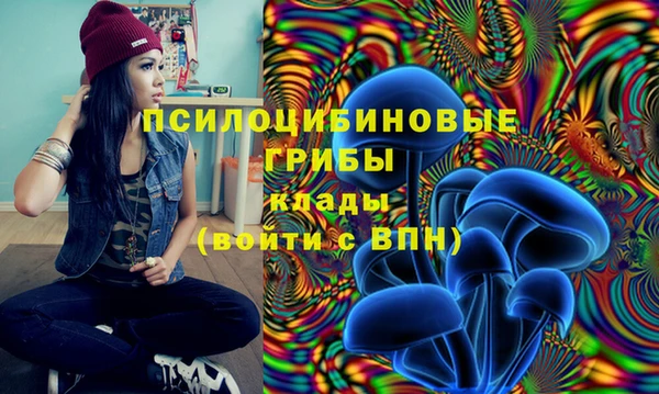 PSILOCYBIN Алексеевка
