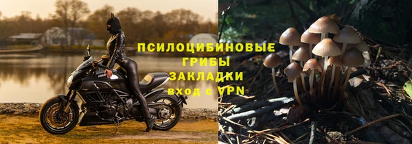 гашик Алексин
