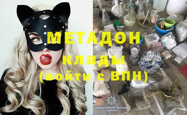 гашик Алексин