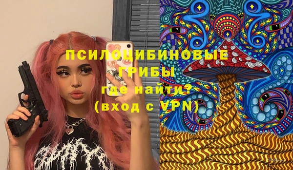 PSILOCYBIN Алексеевка