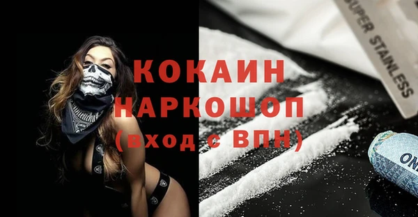 гашик Алексин